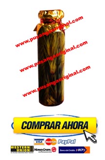 <comprar-pusanga>